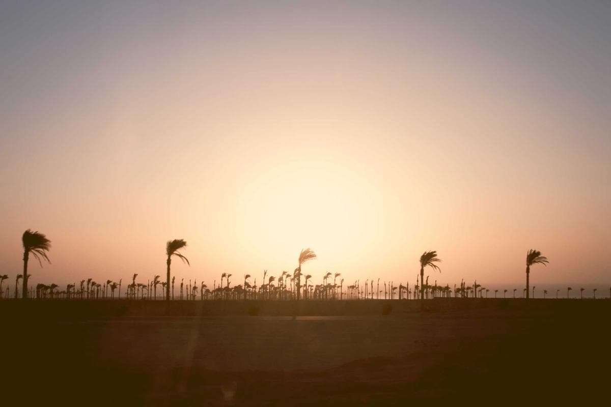 The Future of Mobile Cinematography: Two Perspectives, One Take