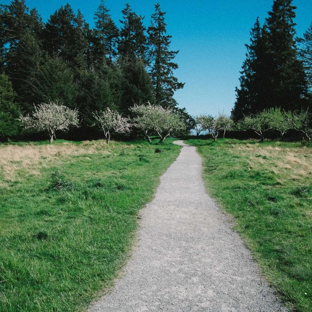 Workflow demonstration